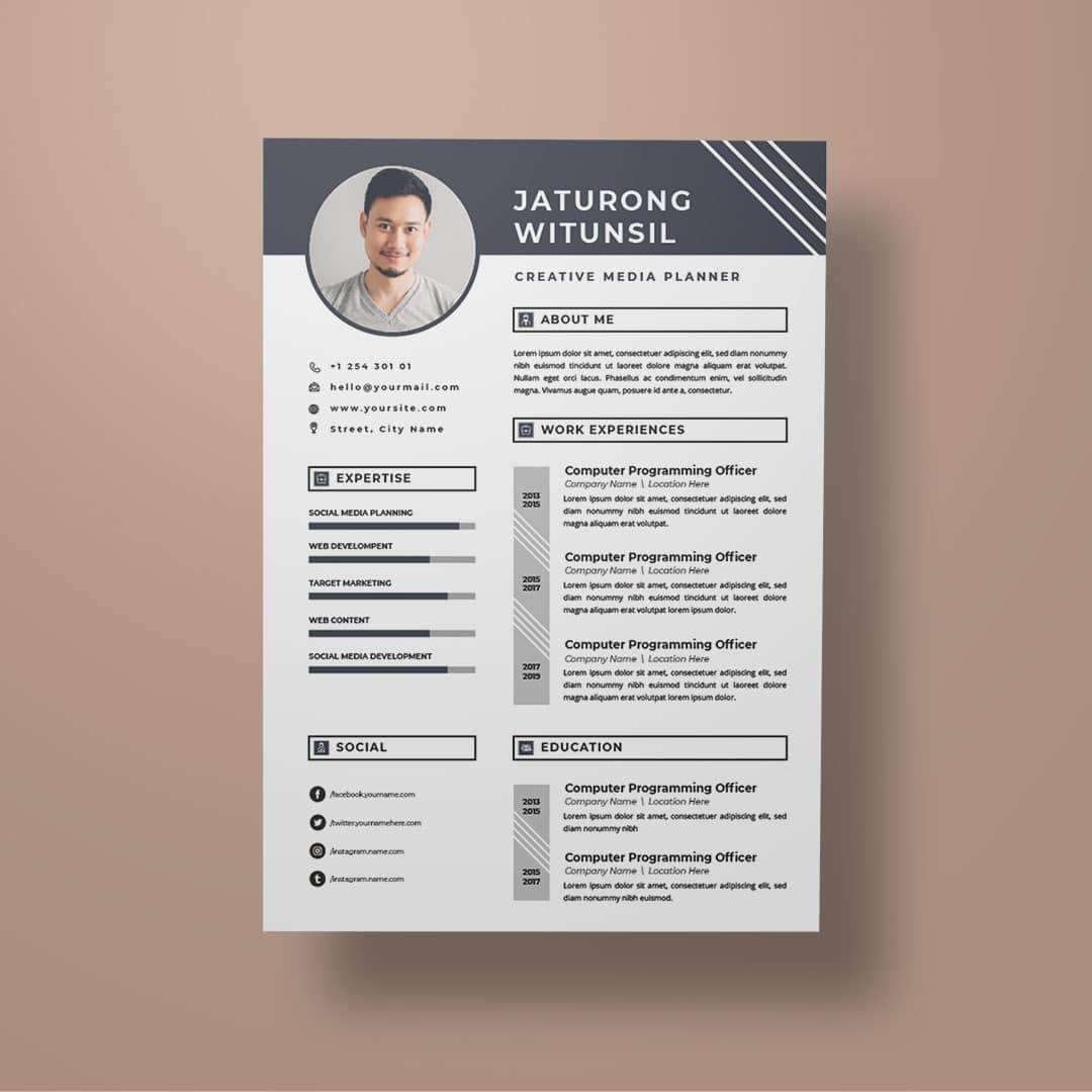 Nurit Resume Template — view 2