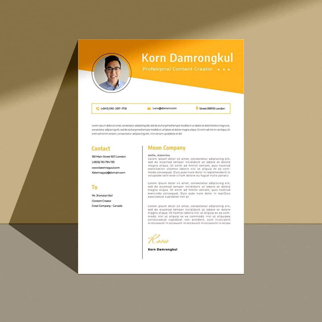 Amsonia Resume Template — view 2