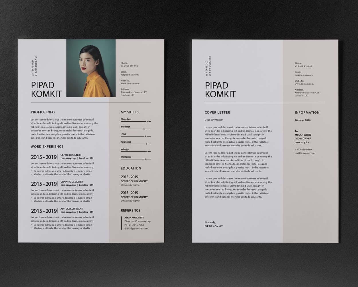 Enfoque Resume Template — view 5
