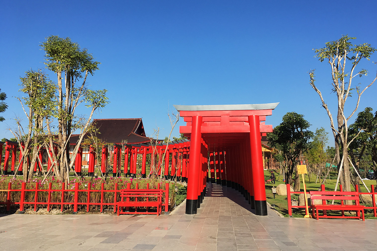 Hinoki Land (ฮิโนกิแลนด์)