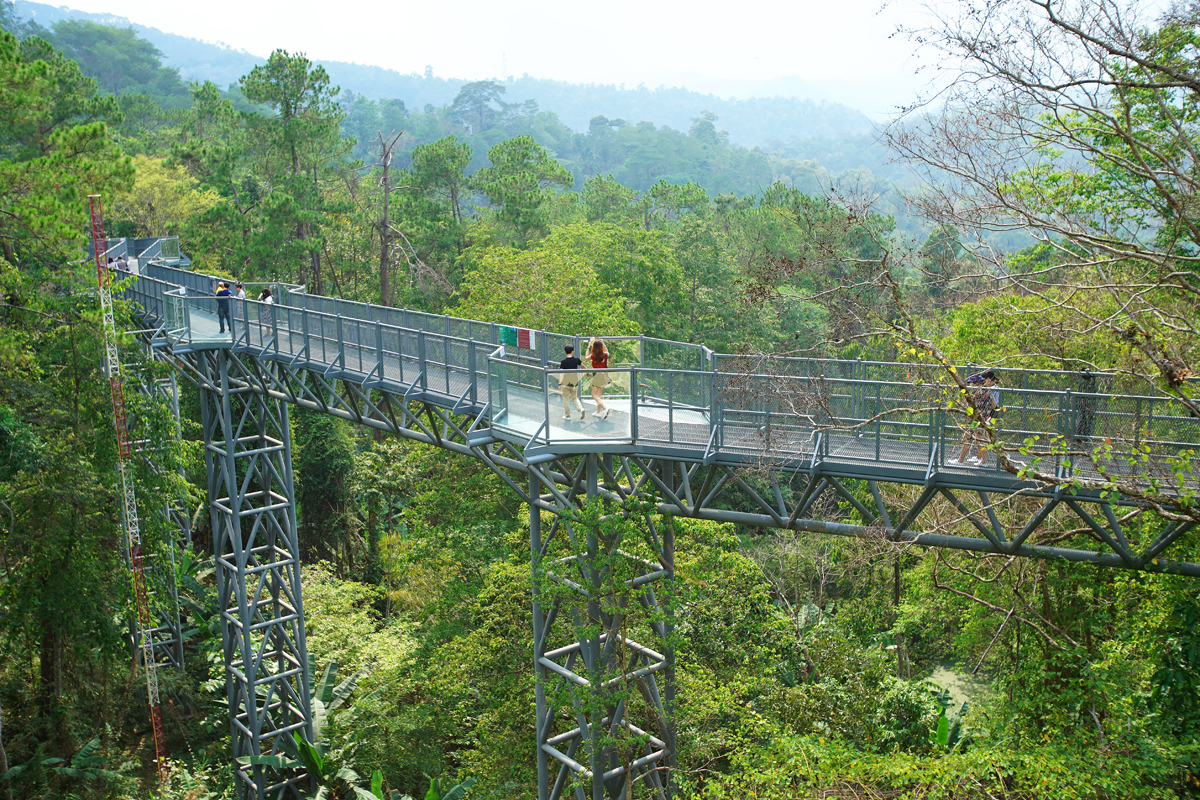 สวนพฤกษศาสตร์สมเด็จพระนางเจ้าสิริกิติ์ Canopy Walks