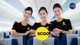 Scoot สมัครแอร์ สายการบิน Scootee